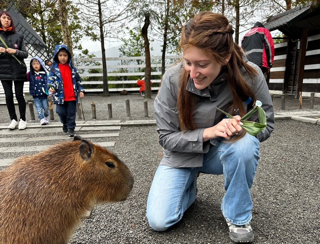 Adorable Capybara Encounters in Yilan: A Must-Visit Experience in Taiwan