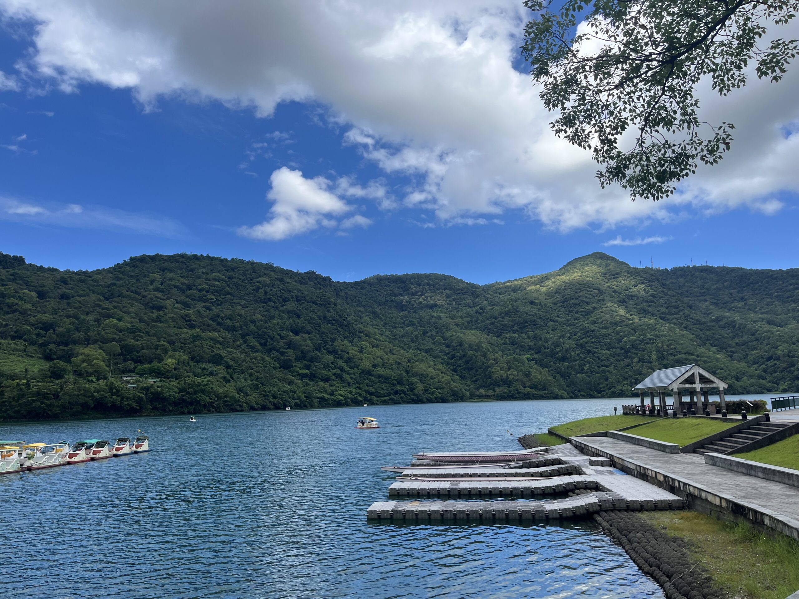 Introducing Alopecia Circle