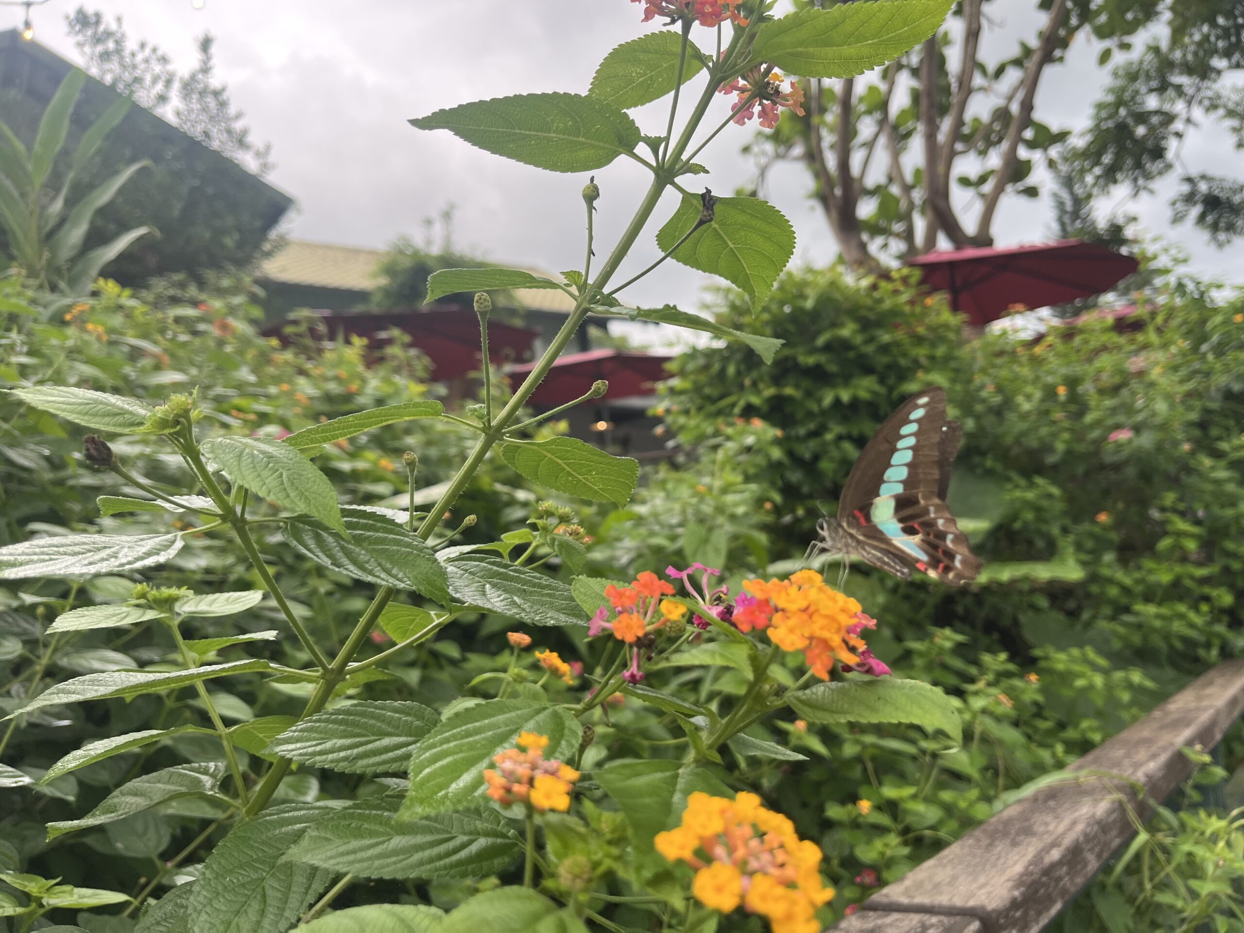 Helpful Language Learning Tips: Master a New Language Now