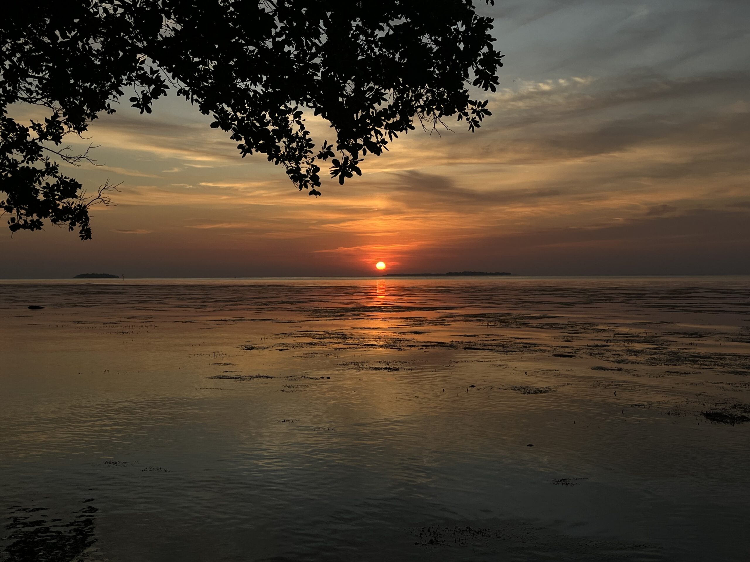 Paradise in Karimunjawa: A Serene Escape to Indonesia’s Hidden Islands